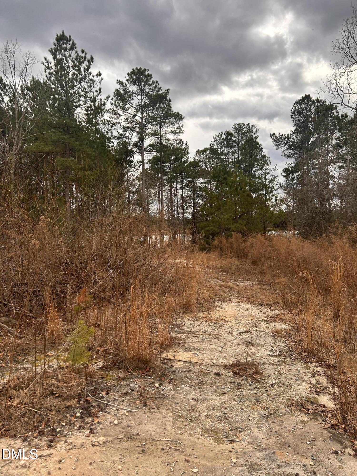198 Old County Line Road Cameron, NC 28326 - Photo 3 of 4 IMG_6294