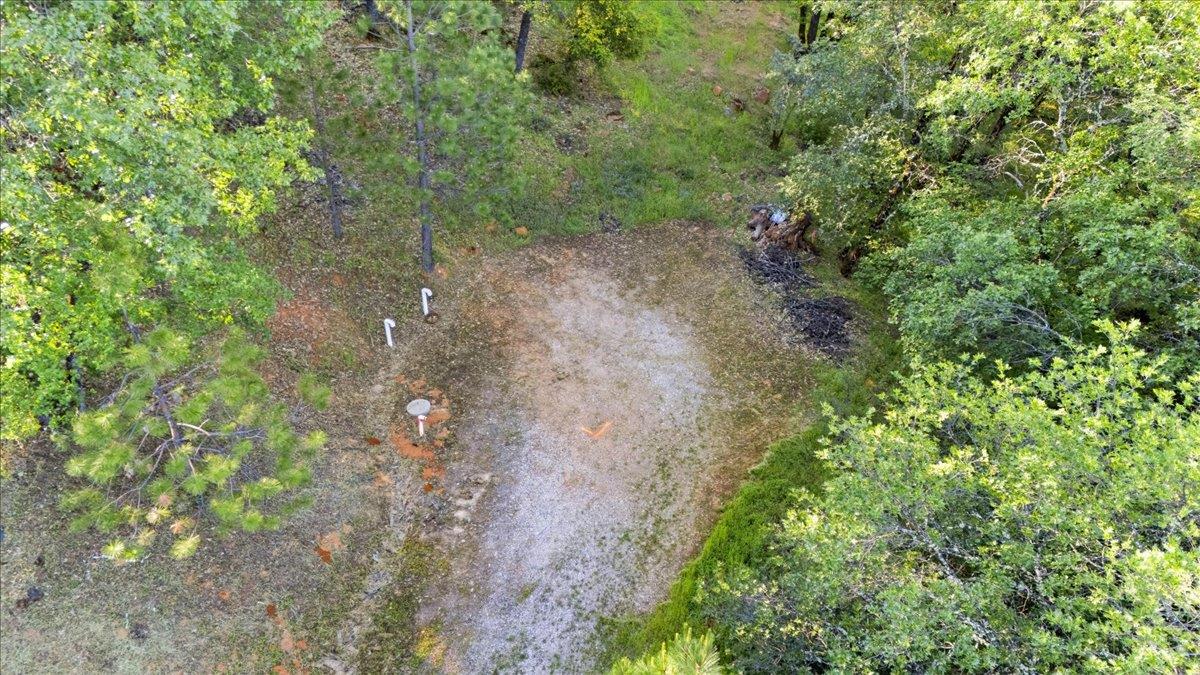 16095 Auburn Road Grass Valley, CA 95949 - Photo 7 of 20