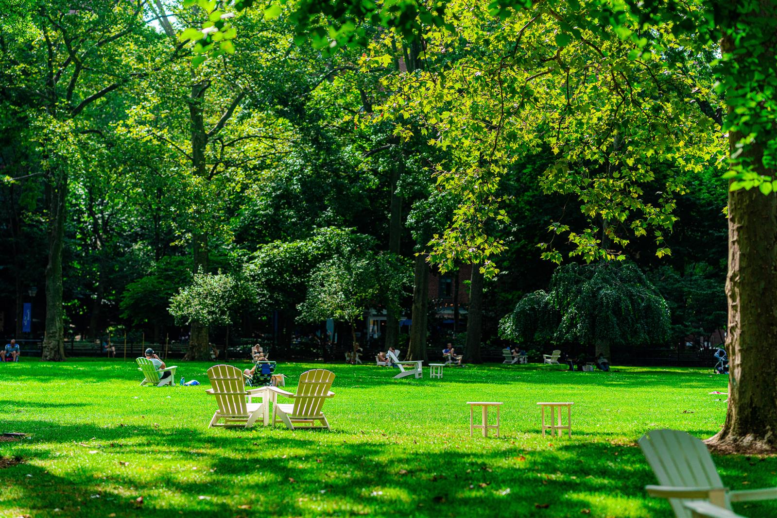272 1st Avenue, Unit 11A Manhattan, NY 10009 - Photo 19 of 19 a green field with lots of trees in it