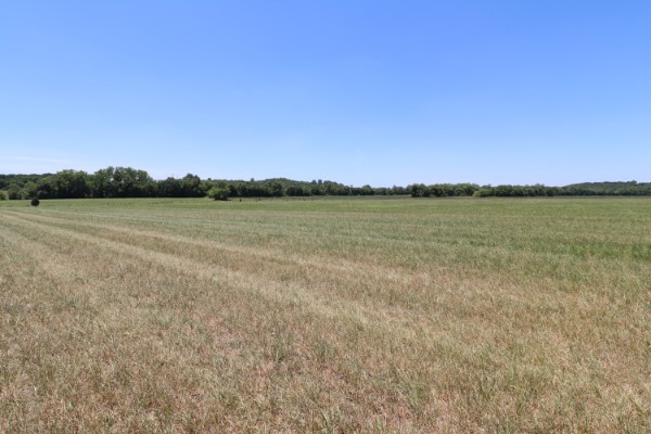 2050 Starlite Road Hartsville, TN 37074 - Photo 8 of 9 Gallery Image 8