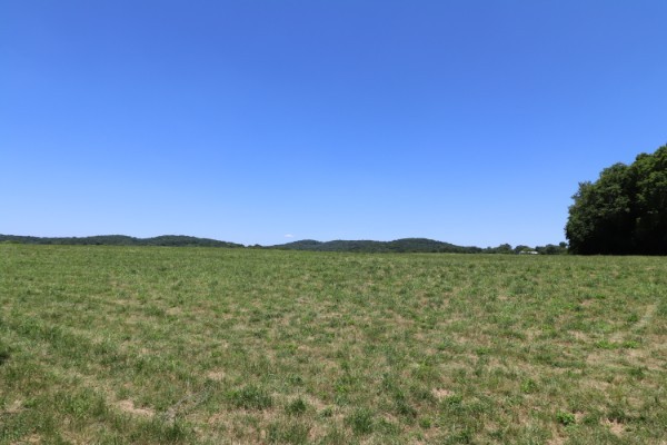 2050 Starlite Road Hartsville, TN 37074 - Photo 9 of 9 Gallery Image 9