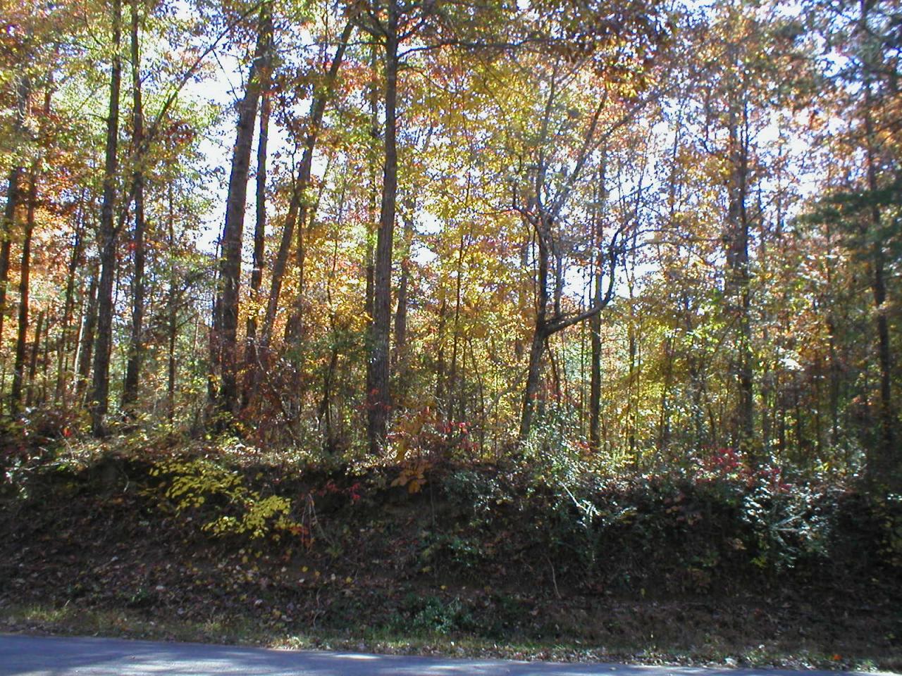 1396 Raccoon Creek Road Jasper, AL 35504 - Photo 1 of 5 Gallery Image 1