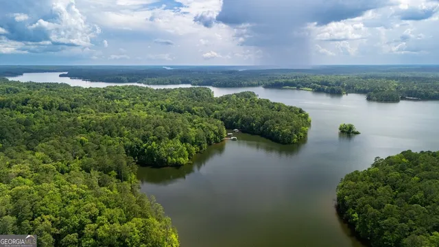 a view of a lake in middle of forest