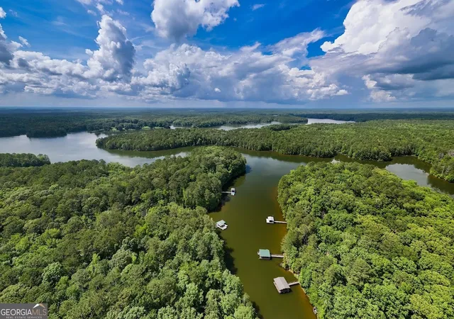 a view of a lake with a city
