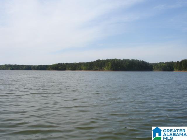 Tranquility Lane Wedowee, AL 36278 - Photo 7 of 13
