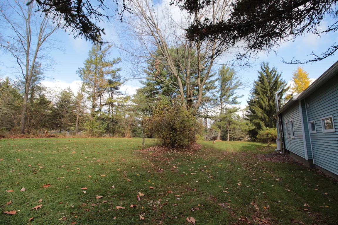 847 Ballyhack Road Port Crane, NY 13833 - Photo 33 of 36 Gallery Image 33