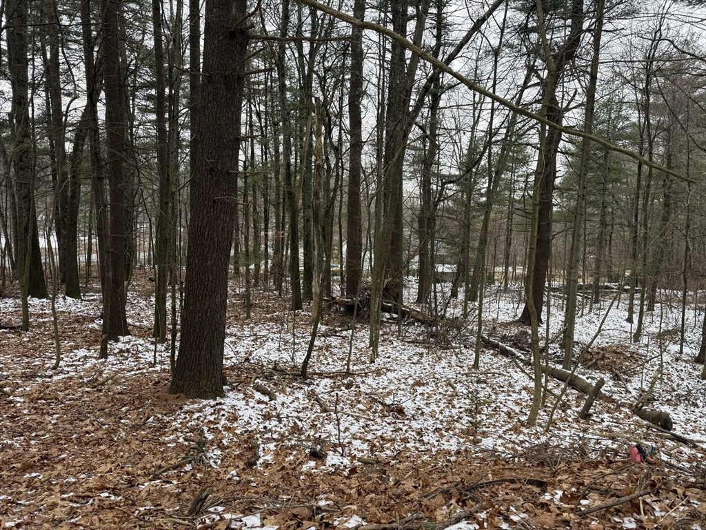 0 State Street Belchertown, MA 01007 - Photo 2 of 3