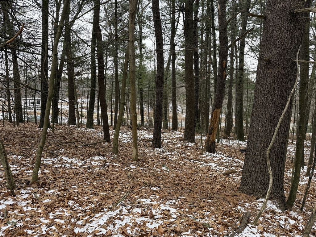 0 State Street Belchertown, MA 01007 - Photo 3 of 3