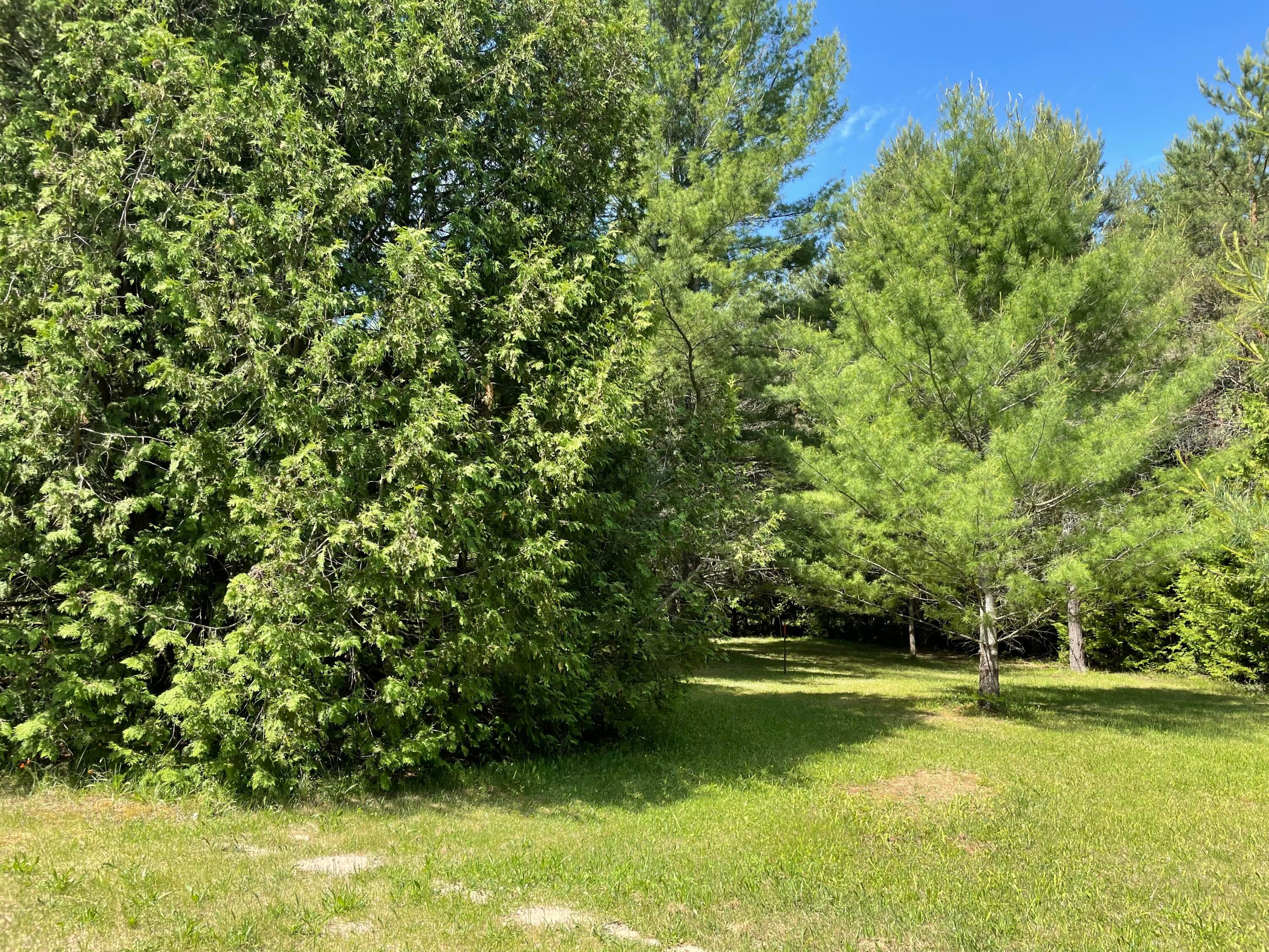 1734 Bowersock Road Indian River, MI 49749 - Photo 20 of 22 Gallery Image 20