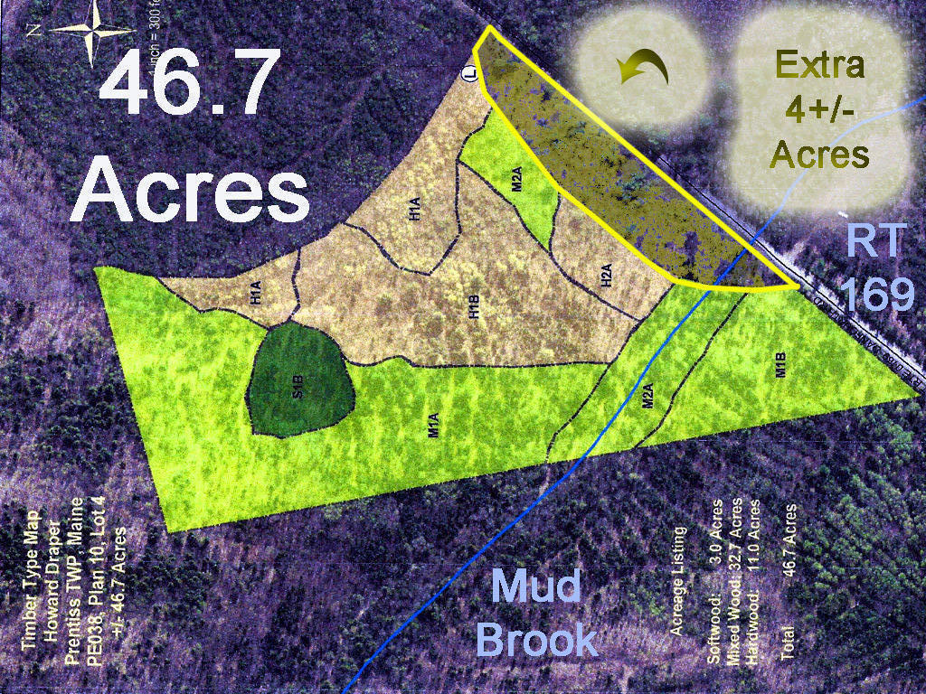 Lot 4-4.1 Rd Prentiss Twp T7 R3 Nbpp Me 04487 Road Springfield, ME 04487 - Photo 4 of 8 Draper-Timber-Map