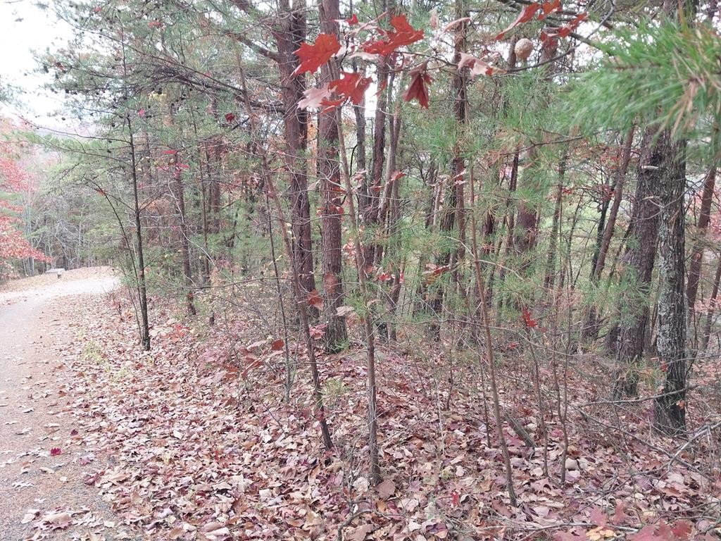 4 Happy Hollow Road Sevierville, TN 37862 - Photo 12 of 37 Gallery Image 12