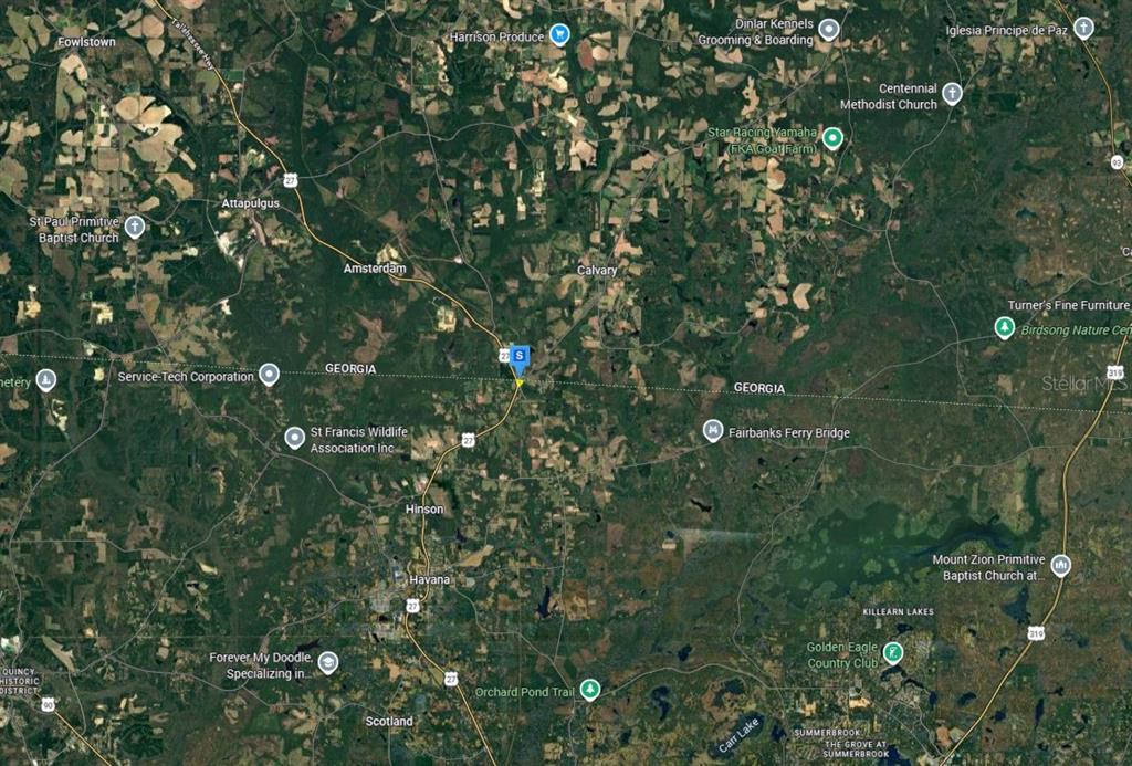 95 Darsey Calvary Road Havana, FL 32333 - Photo 4 of 6