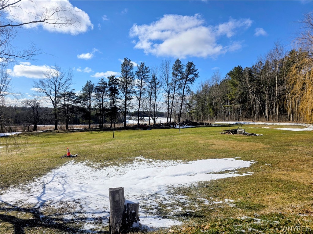 5135 Robinson Road Granger, NY 14735 - Photo 28 of 36