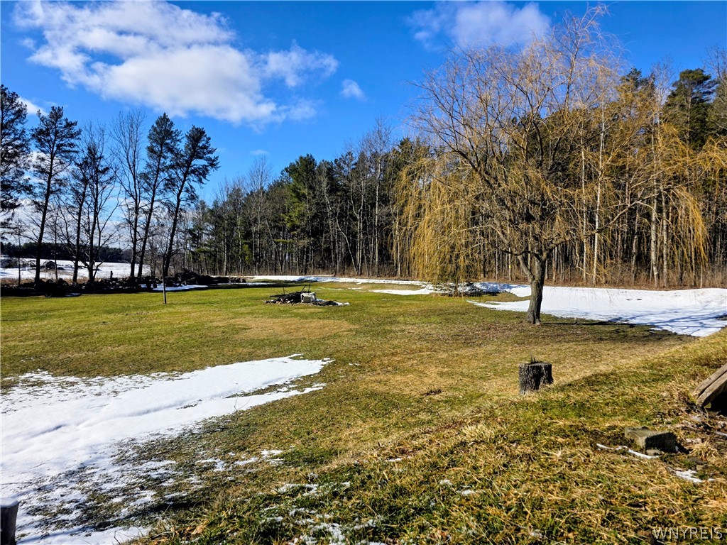 5135 Robinson Road Granger, NY 14735 - Photo 29 of 36