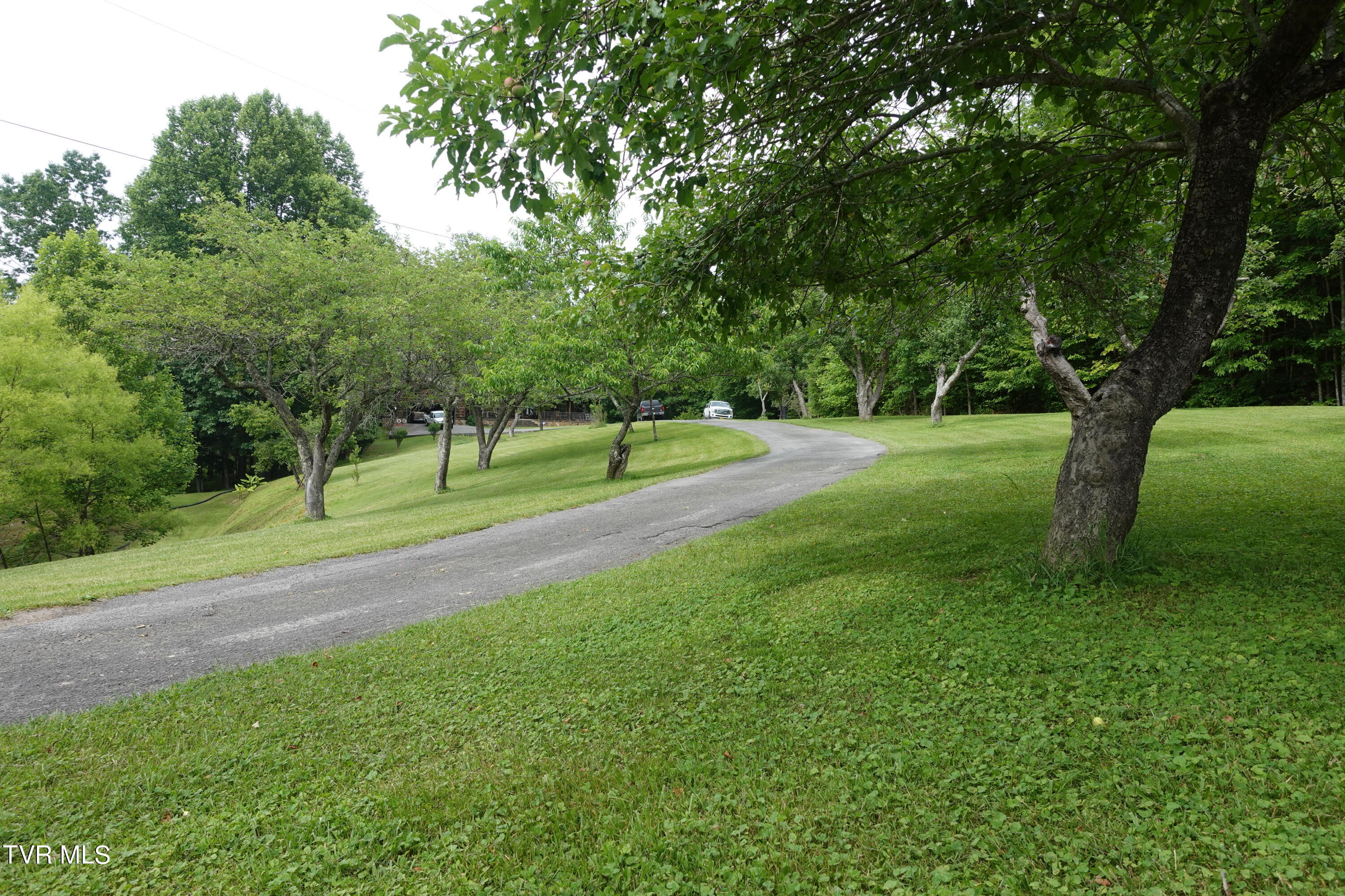 639 Dream Farm Road Birchleaf, VA 24220 - Photo 139 of 153 DSC00368