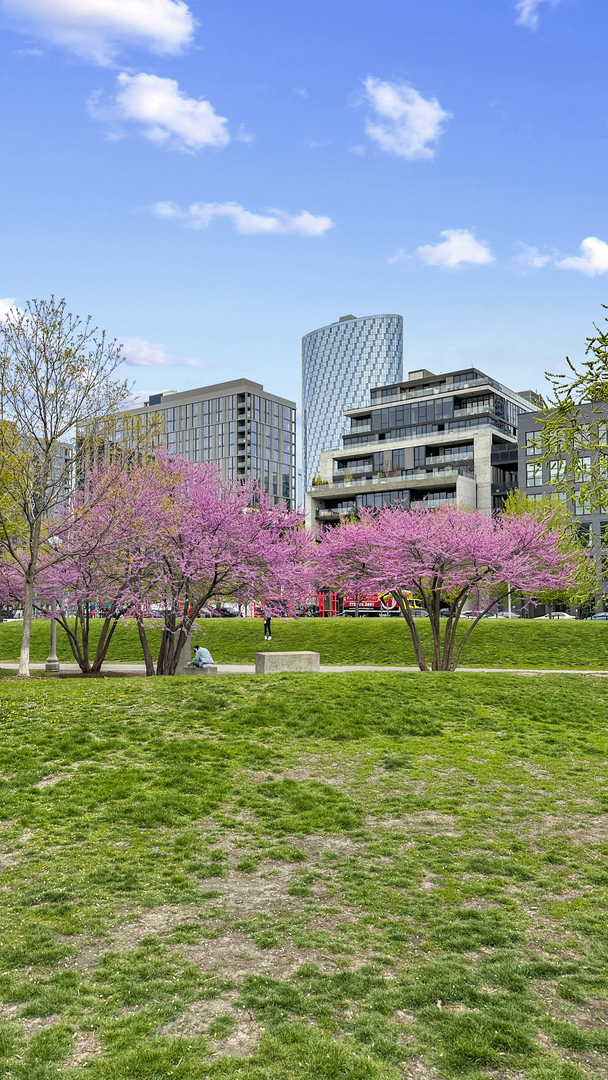 203 South Sangamon Street, Unit 216 Chicago, IL 60607 - Photo 19 of 22 a front view of a house with a big yard and potted plants