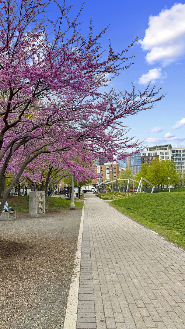 203 South Sangamon Street, Unit 216 Chicago, IL 60607 - Photo 21 of 22 a view of a basketball court