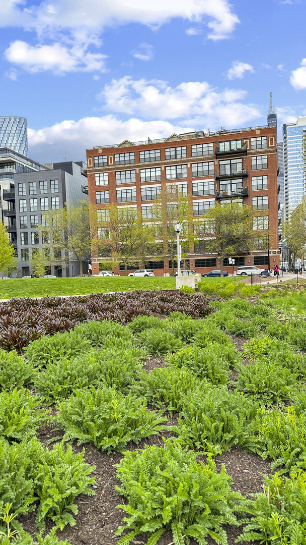 203 South Sangamon Street, Unit 216 Chicago, IL 60607 - Photo 22 of 22 a view of a big room with a big yard and large trees