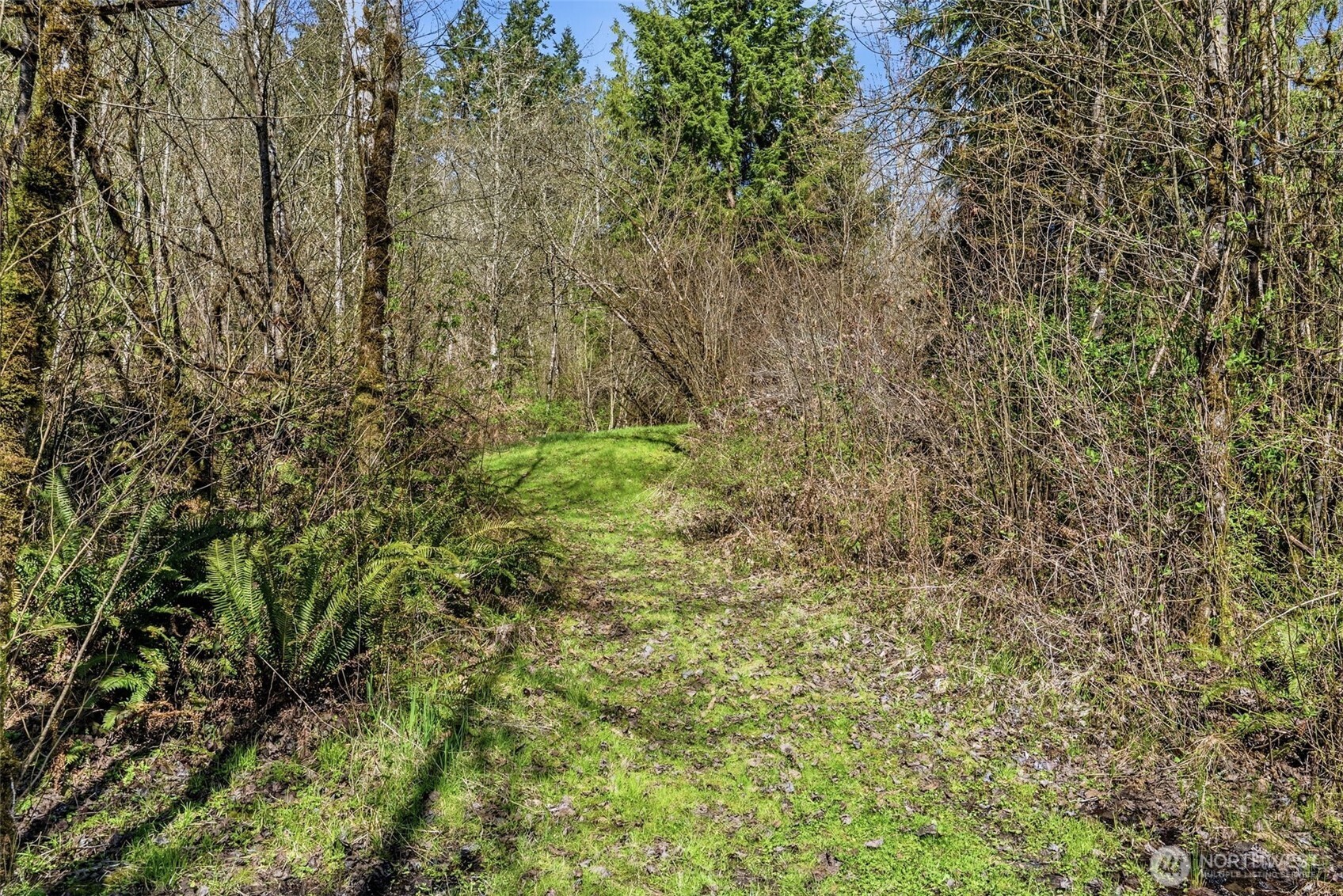 337 Jorgensen Road Onalaska, WA 98570 - Photo 15 of 32