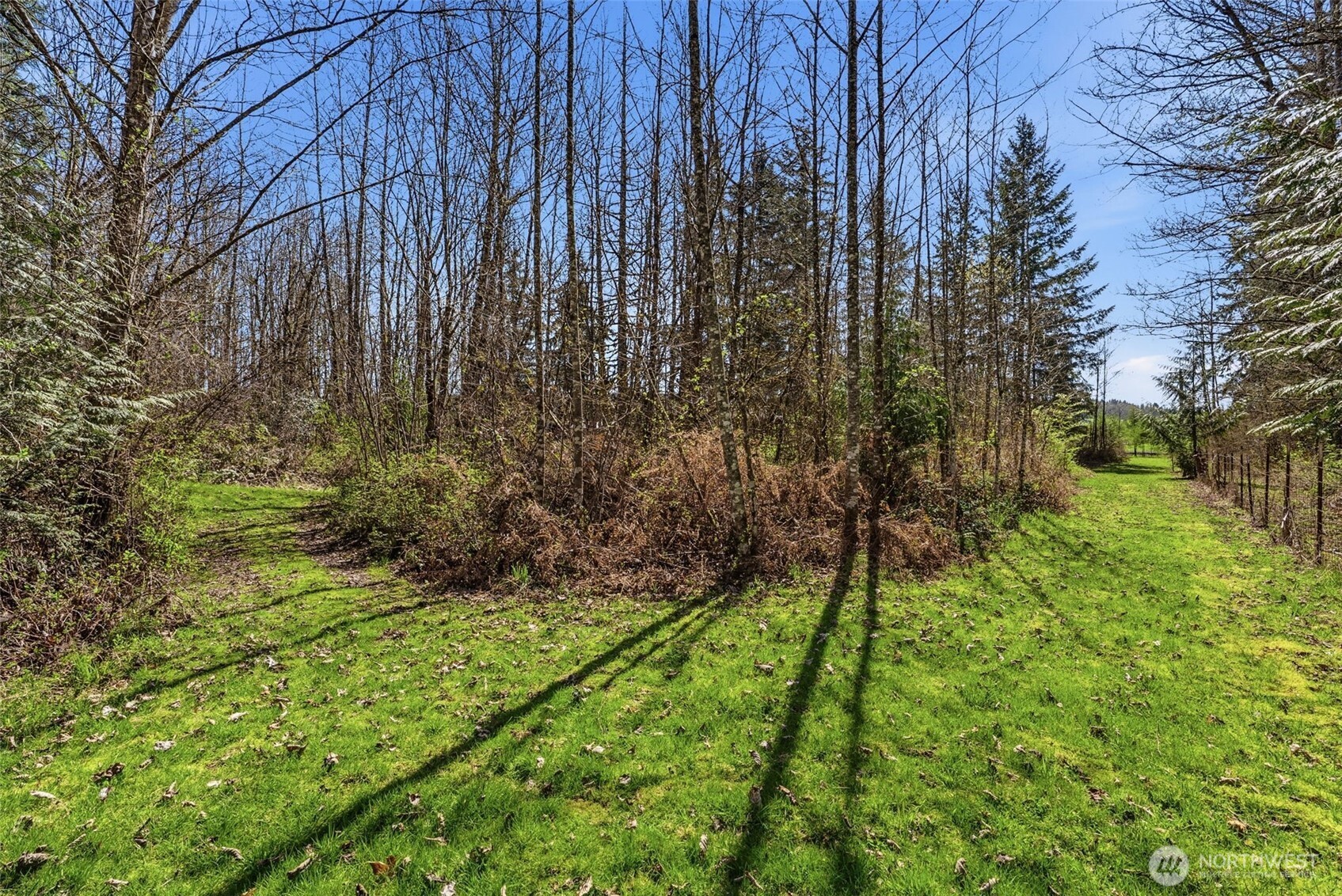 337 Jorgensen Road Onalaska, WA 98570 - Photo 16 of 32