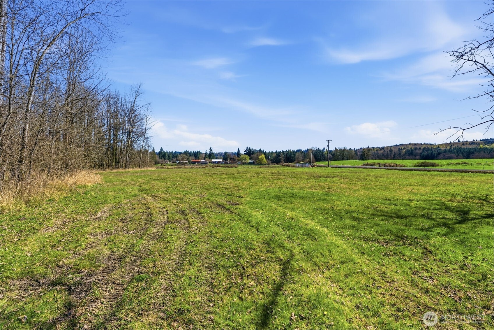 337 Jorgensen Road Onalaska, WA 98570 - Photo 9 of 32