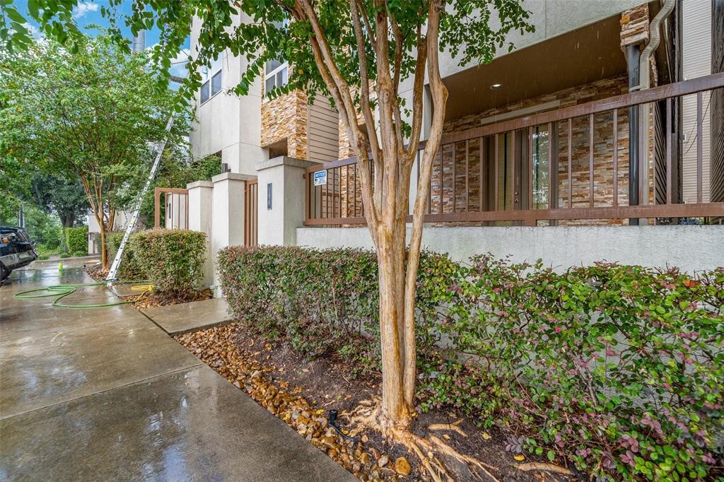 194 Harvard Street Houston, TX 77007 - Photo 43 of 43 a view of a house with a tree