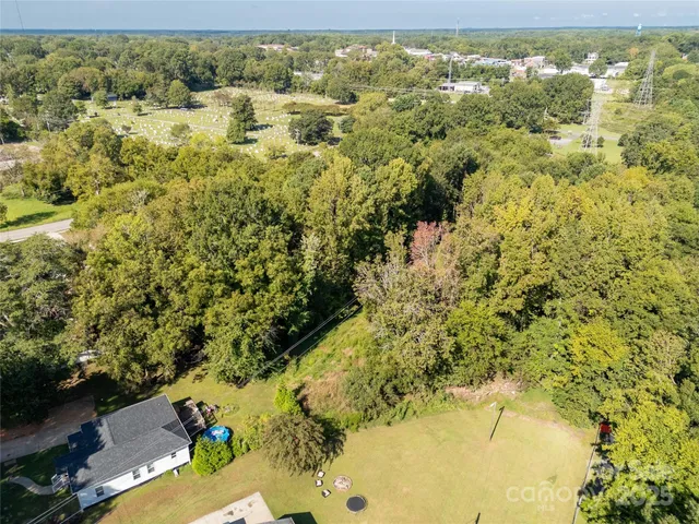 a view of a garden with a tree