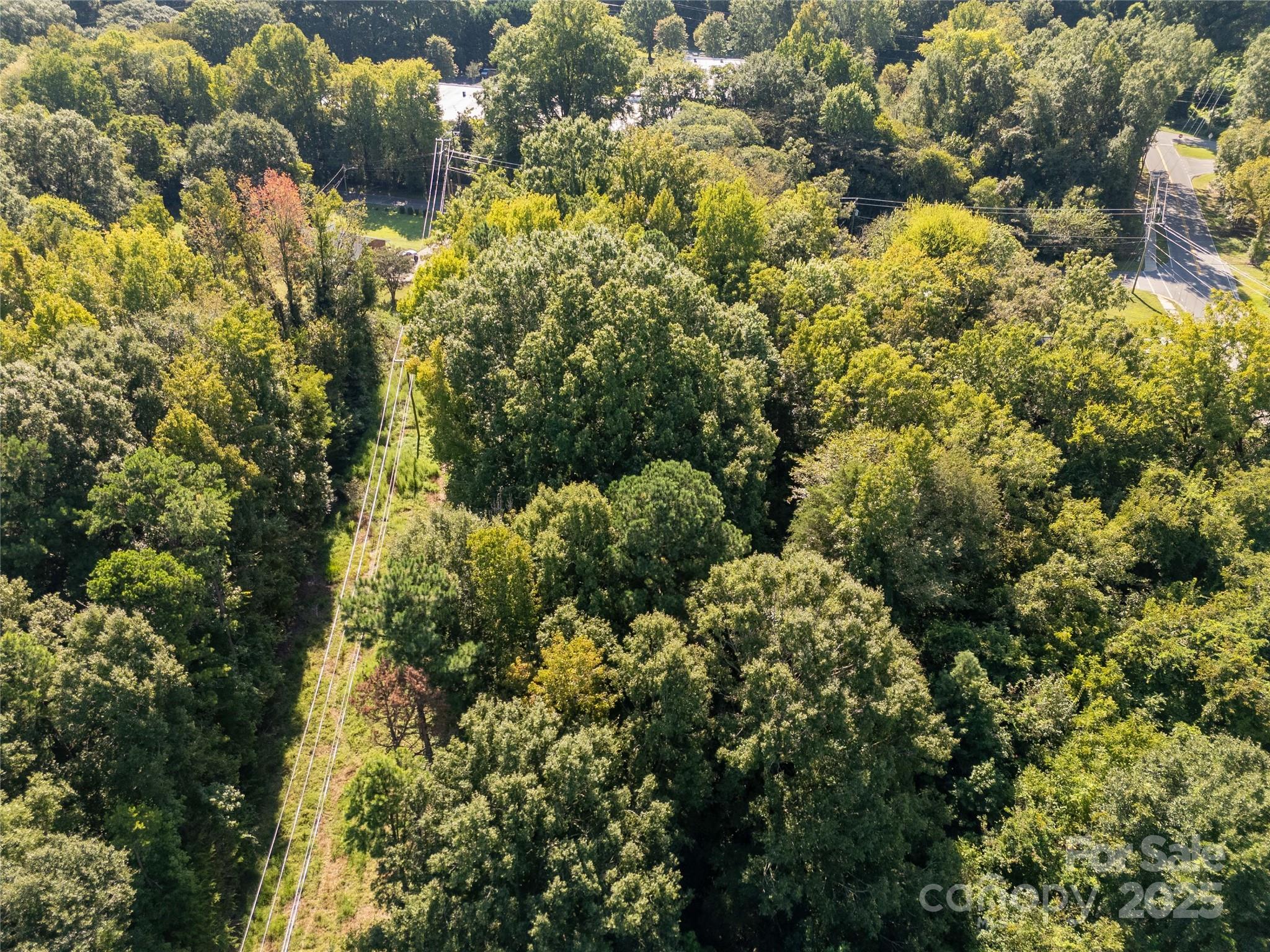 218 East Madison Street York, SC 29745 - Photo 17 of 17 a view of a house with a lush green forest