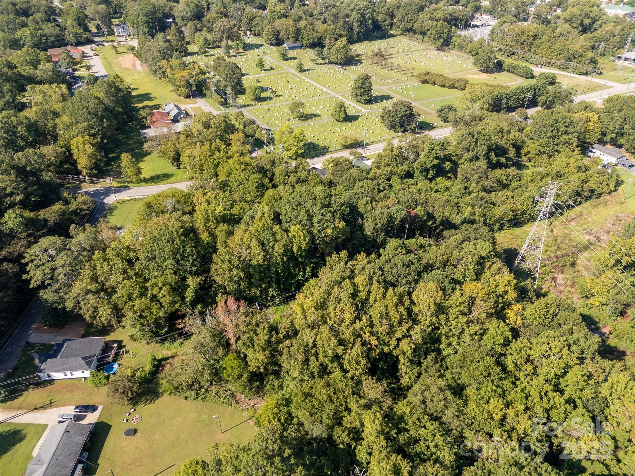 218 East Madison Street York, SC 29745 - Photo 6 of 17 a view of a yard with plants
