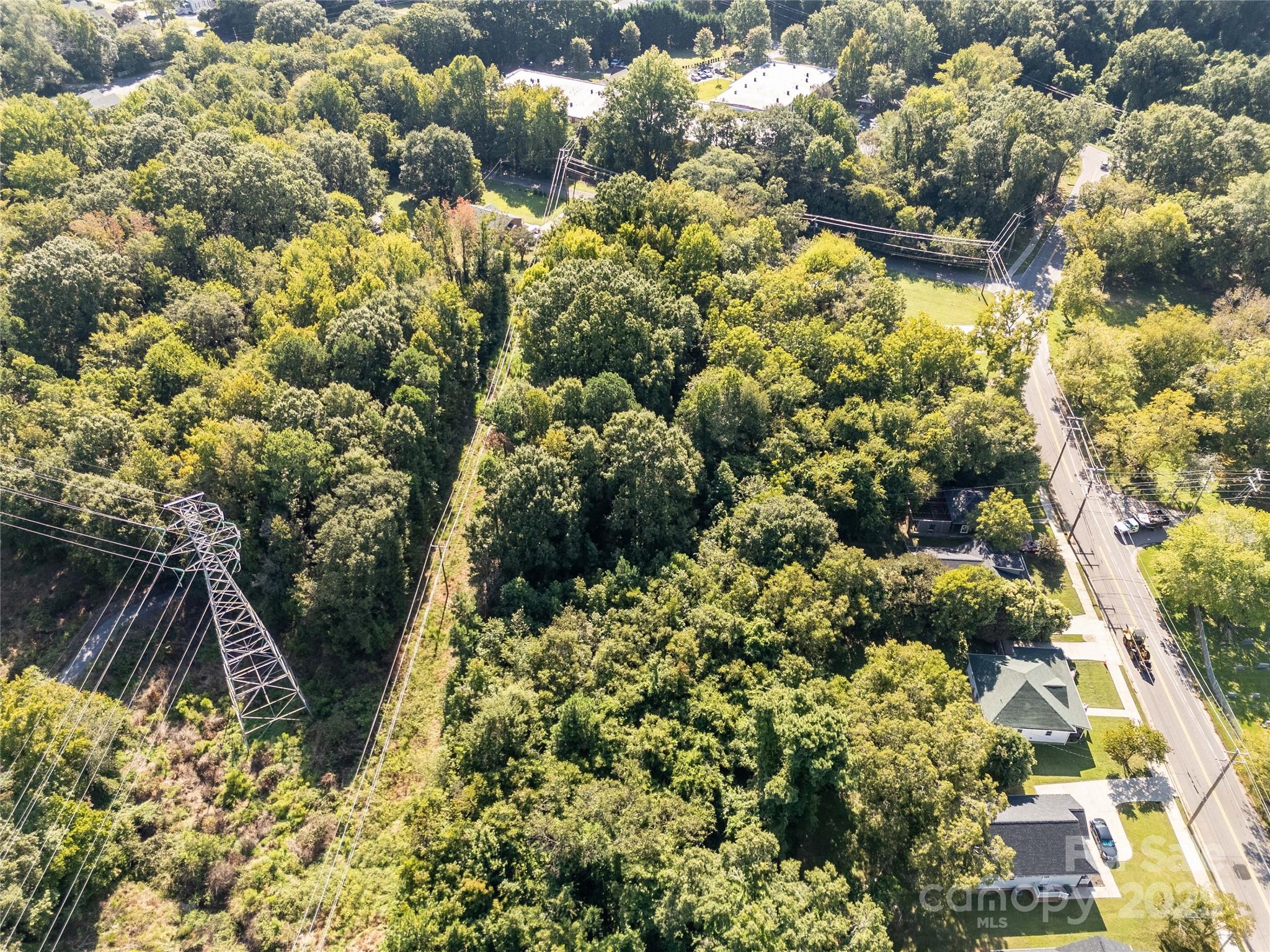 218 East Madison Street York, SC 29745 - Photo 9 of 17 a view of a bunch of flowers and trees