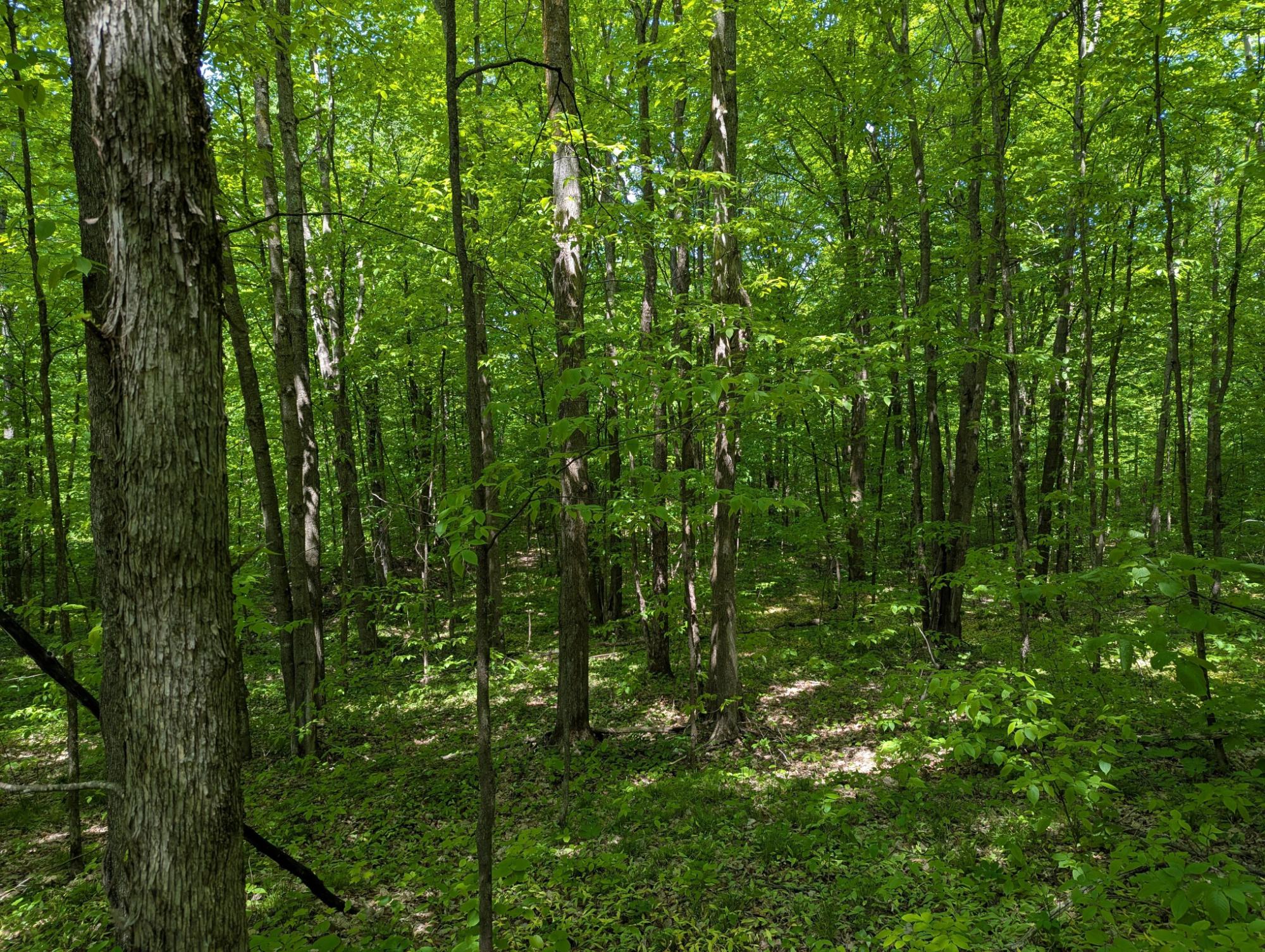 43064 Potato River Road Saxon, WI 54559 - Photo 6 of 37