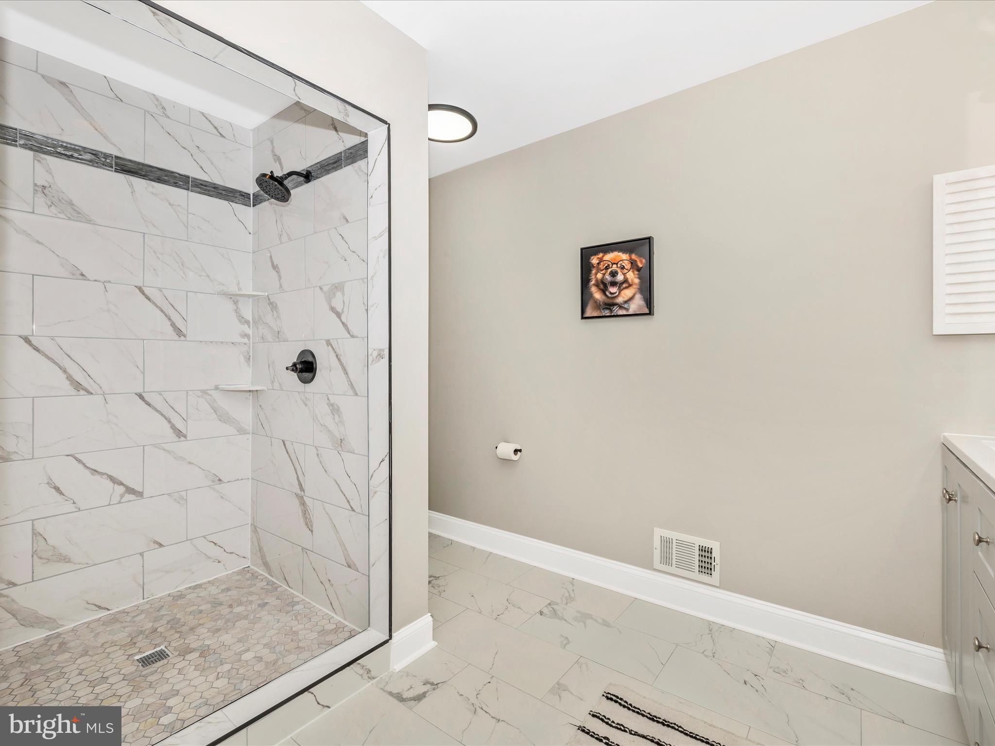 9317 Reach Road Potomac, MD 20854 - Photo 34 of 59 Primary Bathroom