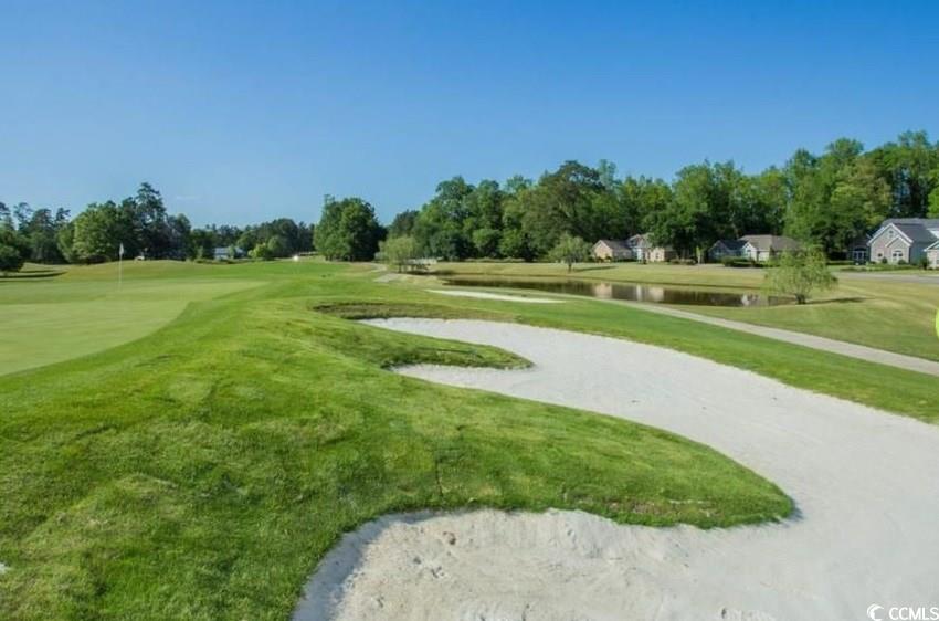 981 Cherrystone Loop Conway, SC 29526 - Photo 29 of 40