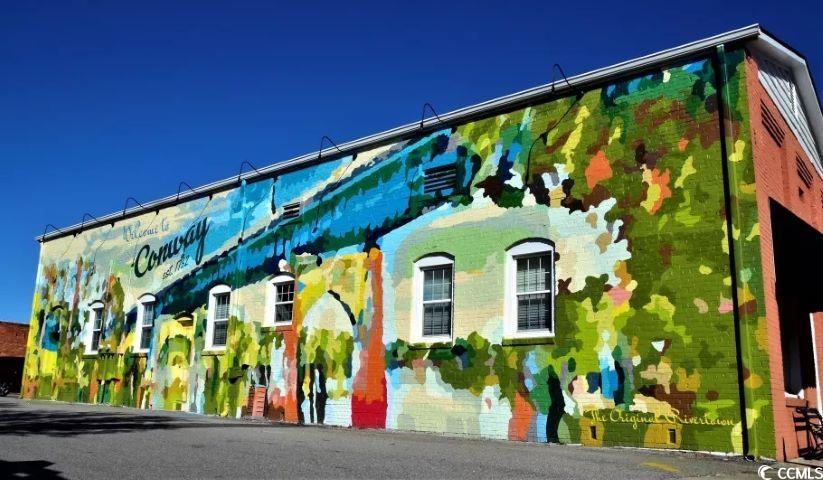 981 Cherrystone Loop Conway, SC 29526 - Photo 40 of 40