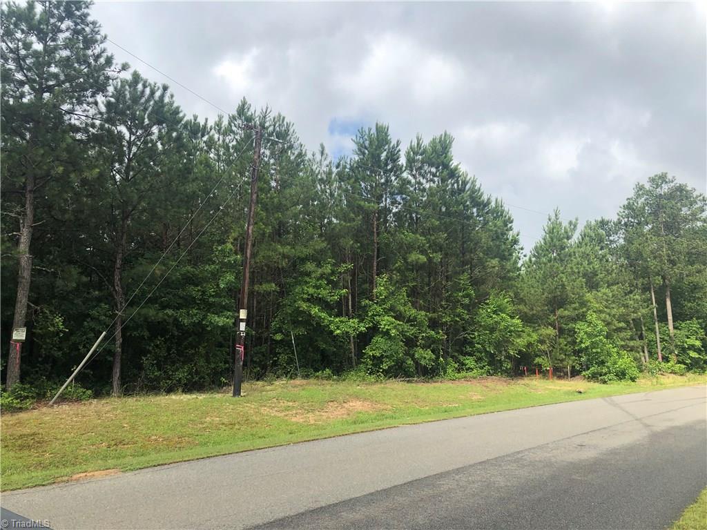 0 Troy Candor Road Biscoe, NC 27209 - Photo 6 of 8 Gallery Image 6