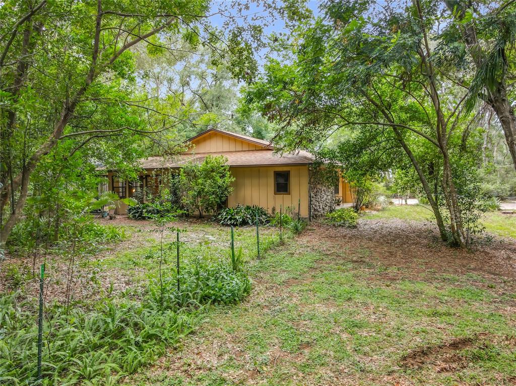 1942 Country Club Road Eustis, FL 32726 - Photo 51 of 56 a view of backyard of house with green space