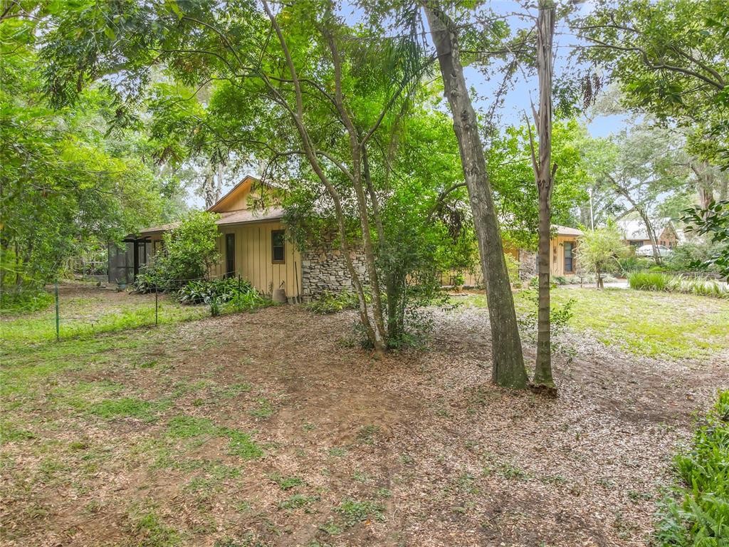 1942 Country Club Road Eustis, FL 32726 - Photo 52 of 56 a view of a house with backyard and a tree