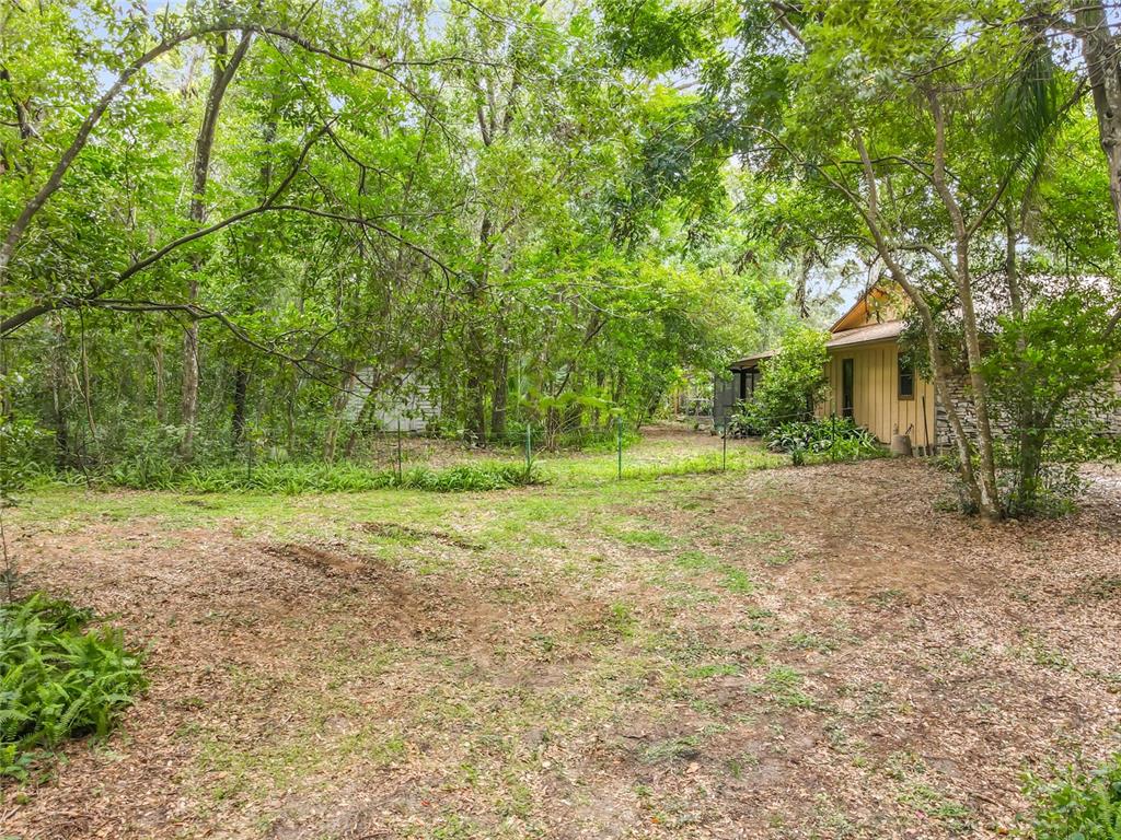 1942 Country Club Road Eustis, FL 32726 - Photo 53 of 56 a view of a house with backyard and trees