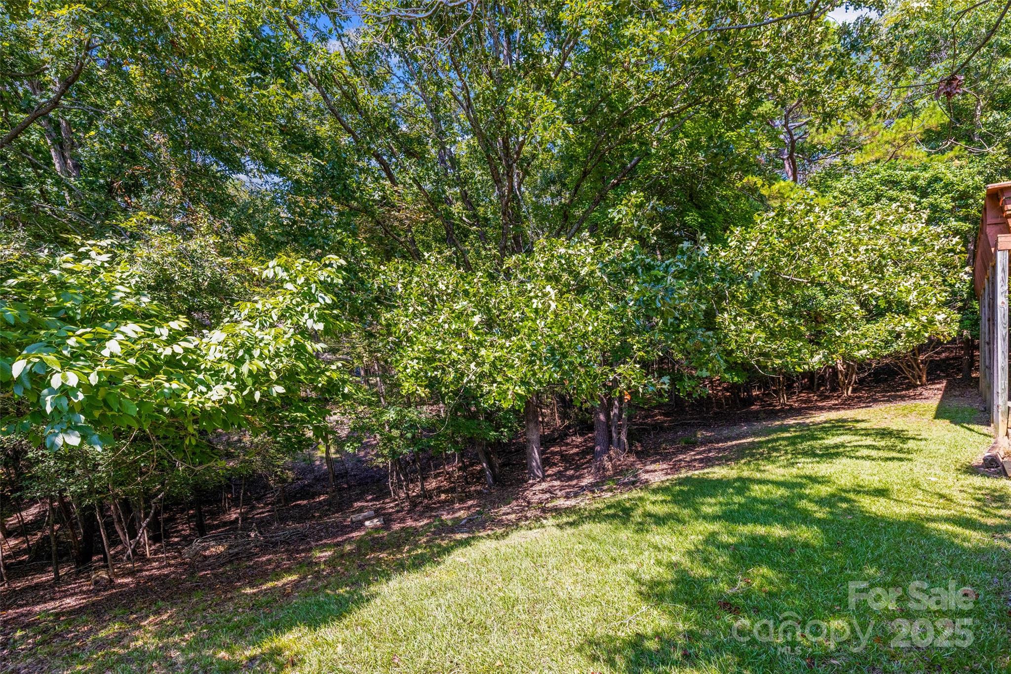 25011 Club View Drive Tega Cay, SC 29708 - Photo 31 of 48