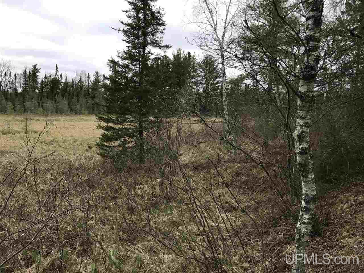 40-ac Kelso Road Crystal Falls, MI 49920 - Photo 14 of 21