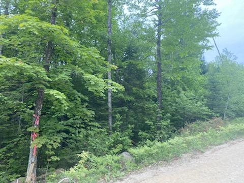 Lot1699 Spruce Pond Road Bingham, ME 04920 - Photo 2 of 3 IMG_5806-preview