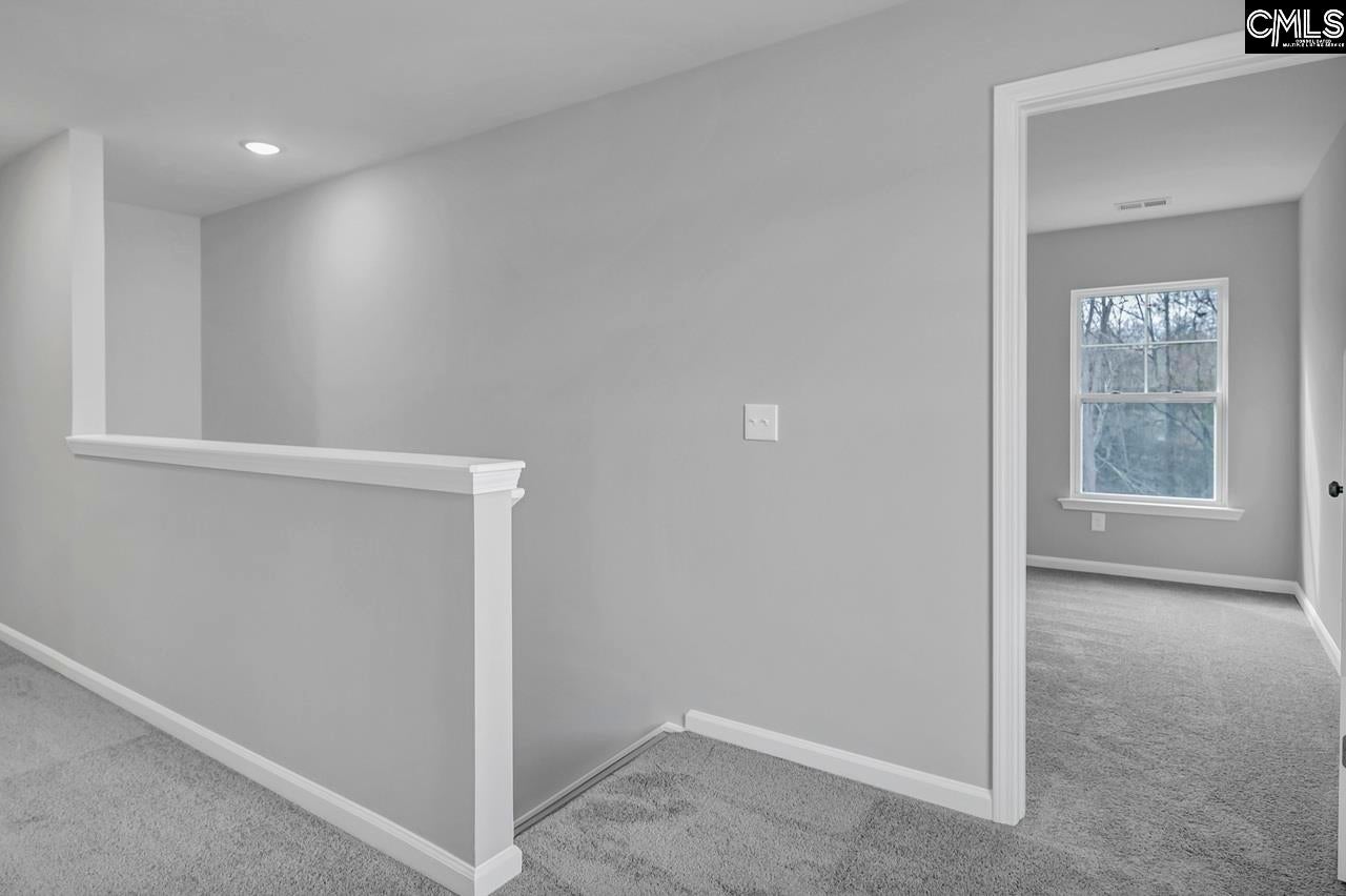 248 Boseman Road Irmo, SC 29063 - Photo 32 of 45 Gallery Image 32