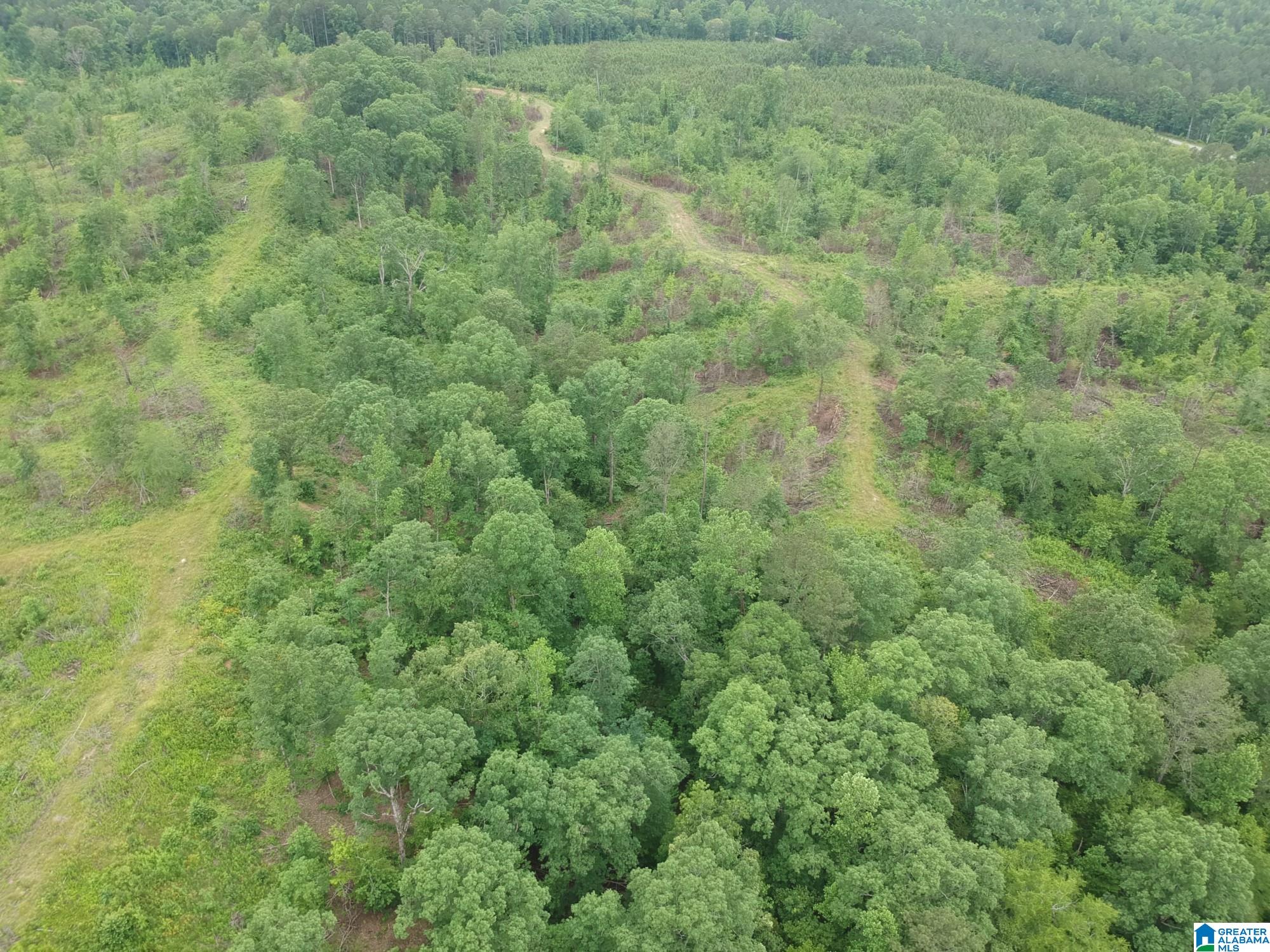 0 Bailey Springs Road Ohatchee, AL 36271 - Photo 9 of 10