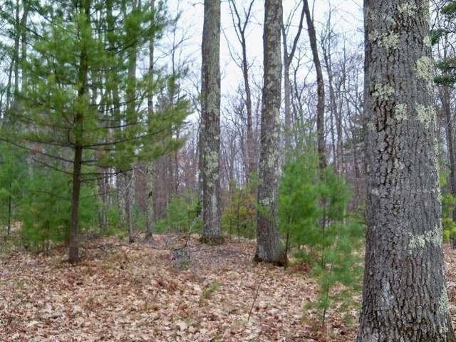 7111 North Bluebird Road Lake Tomahawk, WI 54539 - Photo 11 of 20 Gallery Image 11