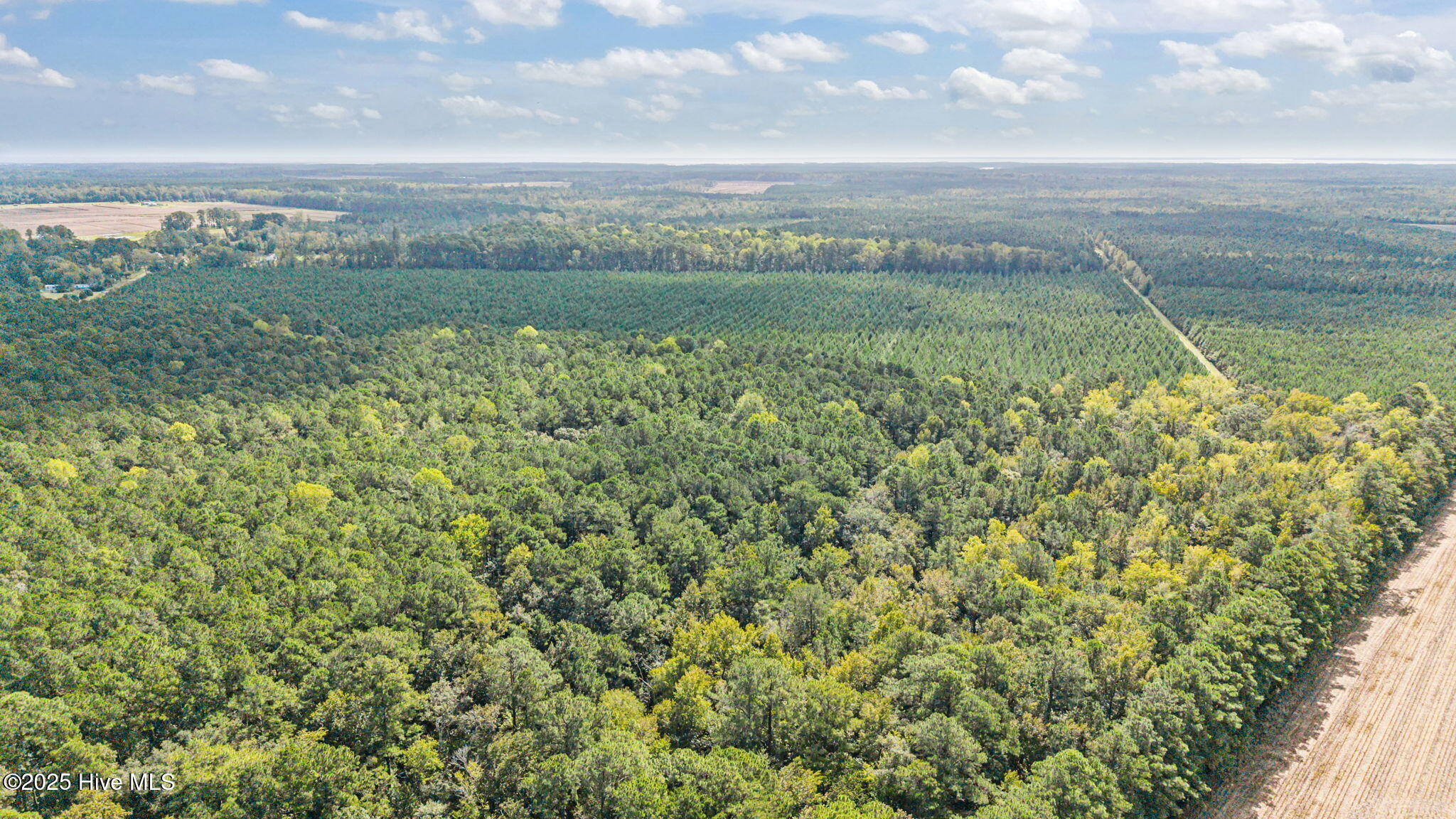 3733 Florence Road Merritt, NC 28556 - Photo 10 of 18 12-web-or-mls-DJI_20251002114013_0241_D