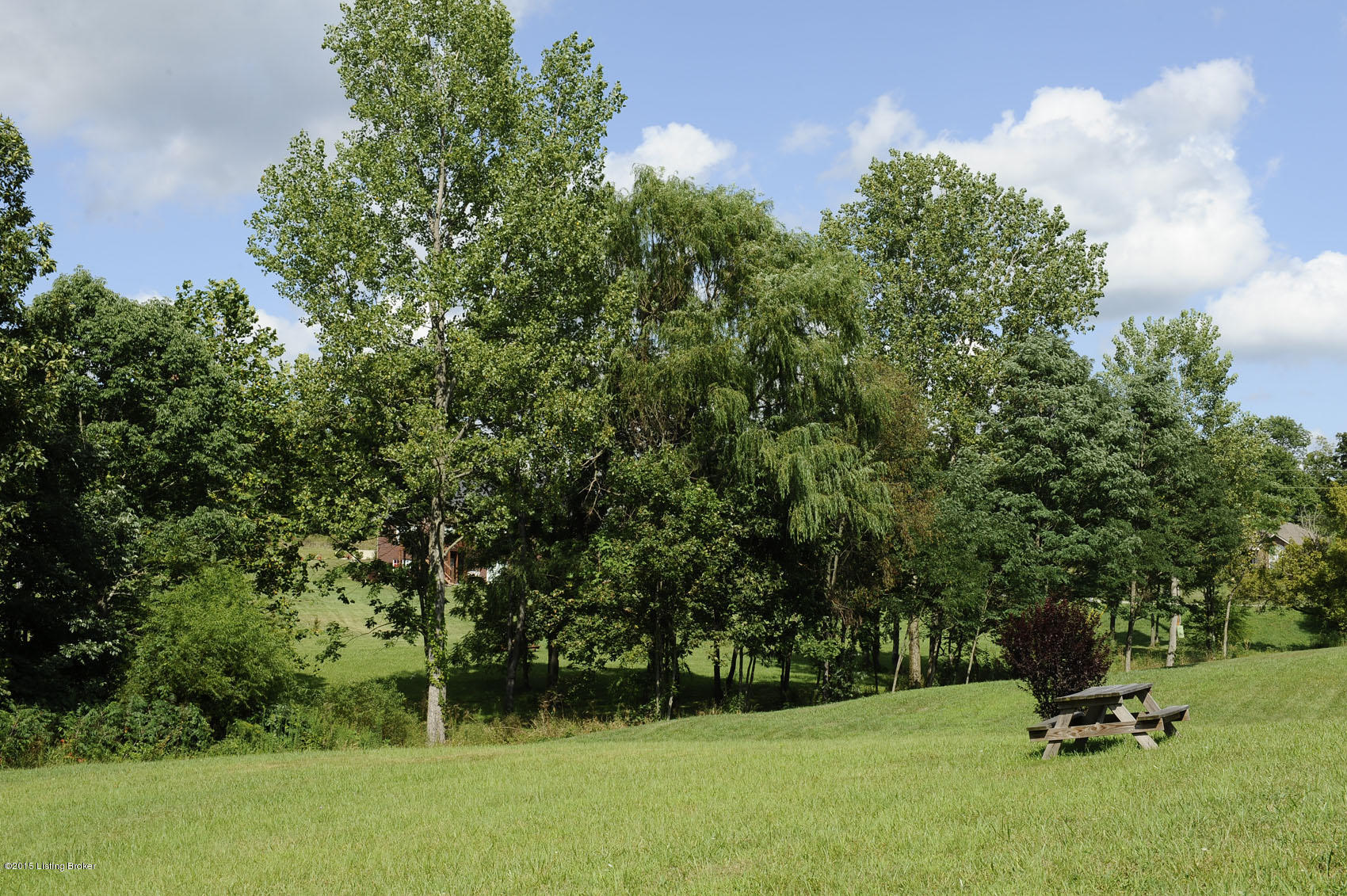 123 Silverview Road Smithfield, KY 40068 - Photo 26 of 31 _DSC4510.jpg