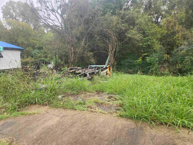 a backyard of a house with lots of green space and trees