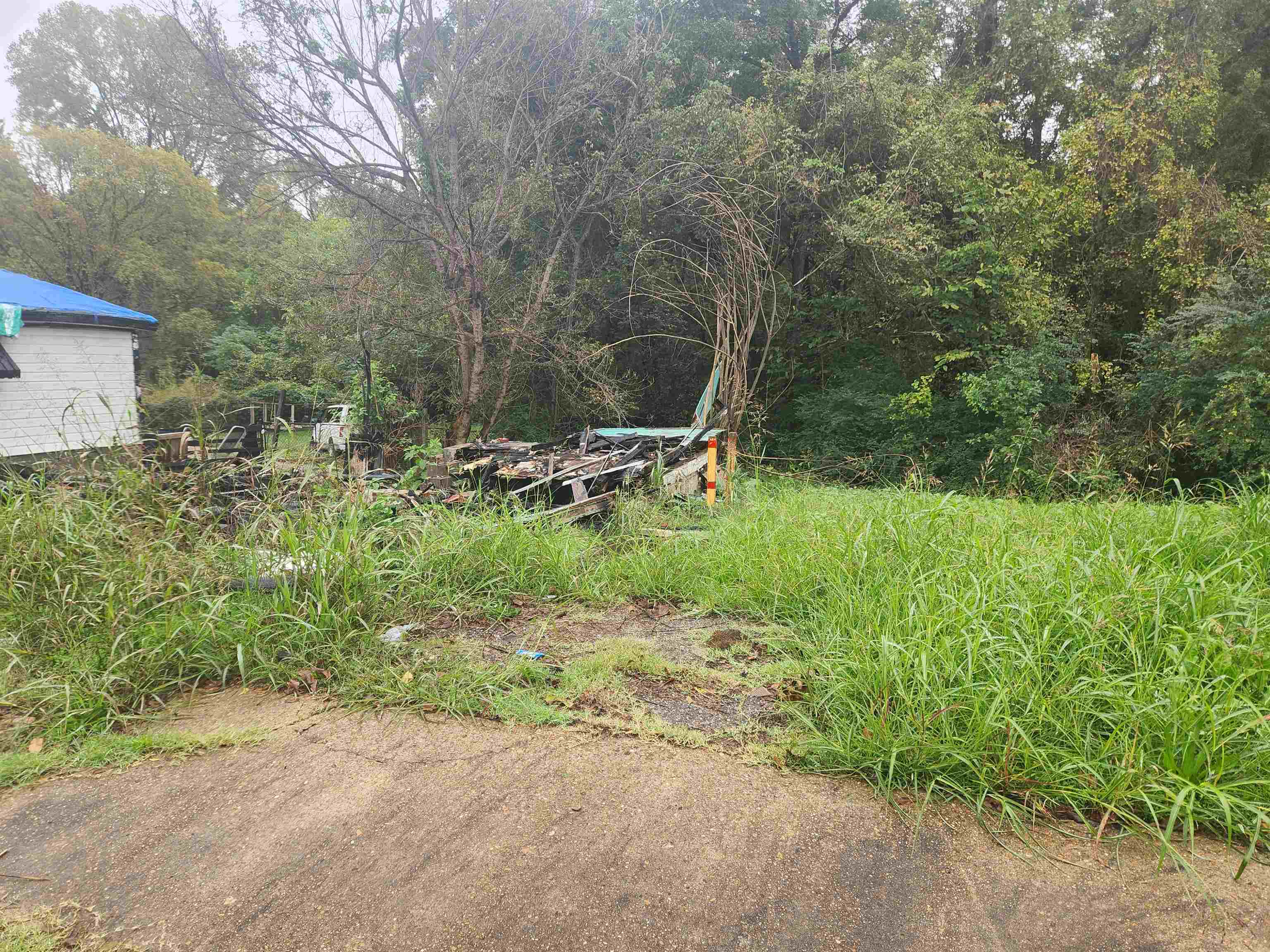705 Flynn Road Memphis, TN 38109 - Photo 3 of 4 a backyard of a house with lots of green space and trees