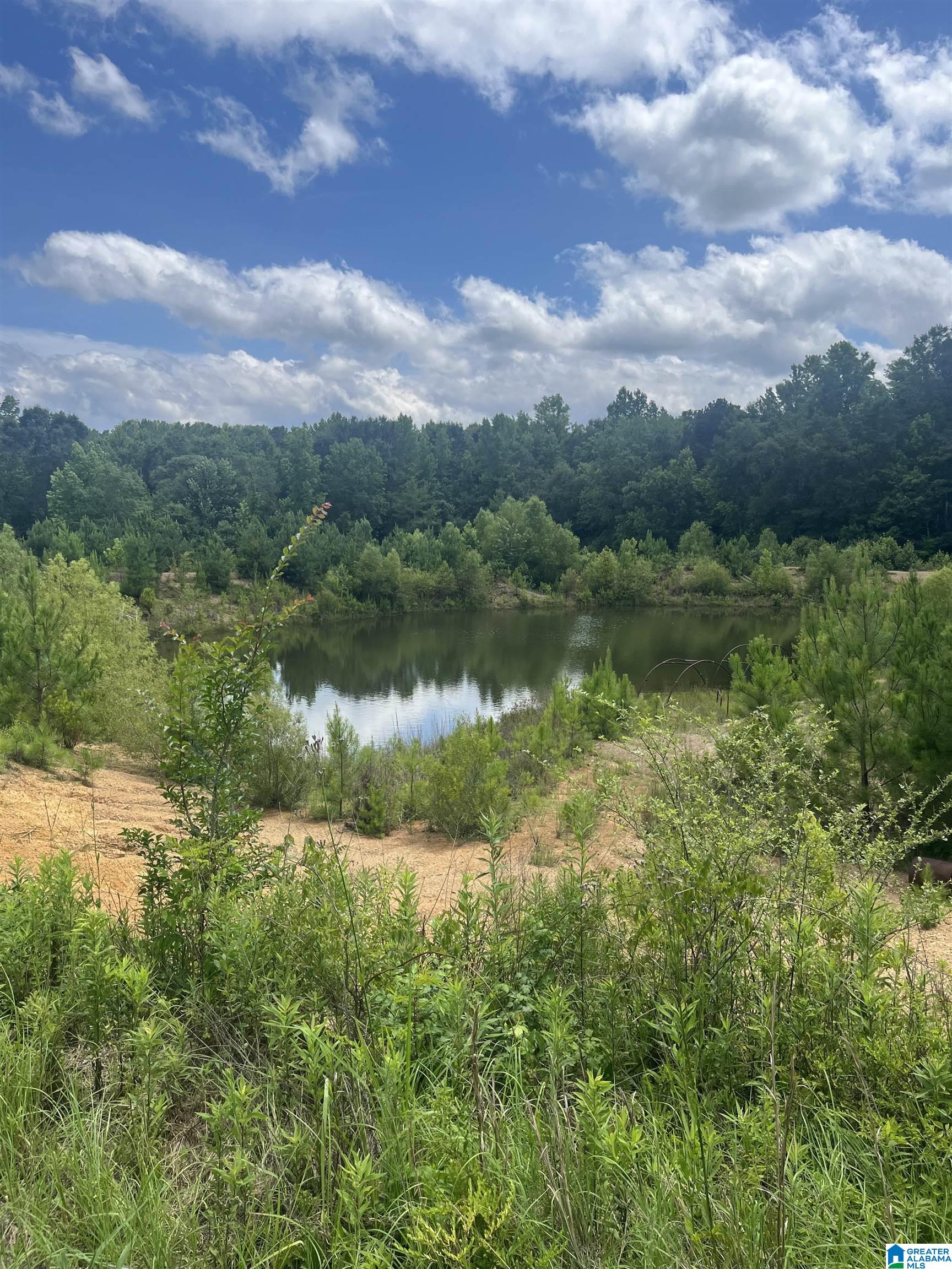 7000 Grey Hill Road West Blocton, AL 35184 - Photo 50 of 50
