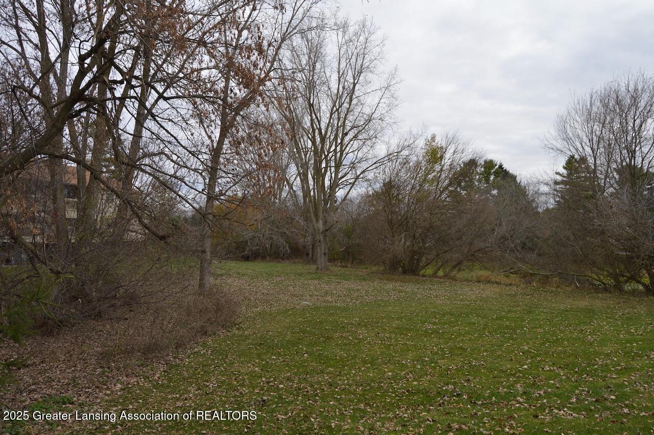 1734 Maple Ridge Road Haslett, MI 48840 - Photo 43 of 60 Yard View